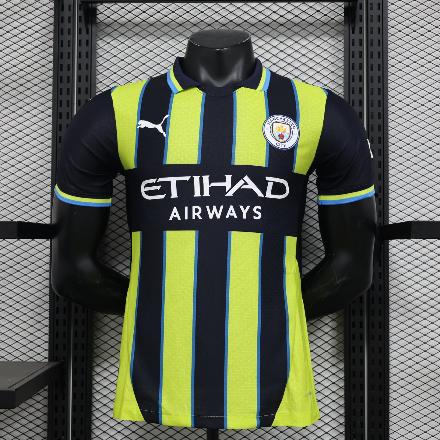 MANCHESTER CITY 2024/25