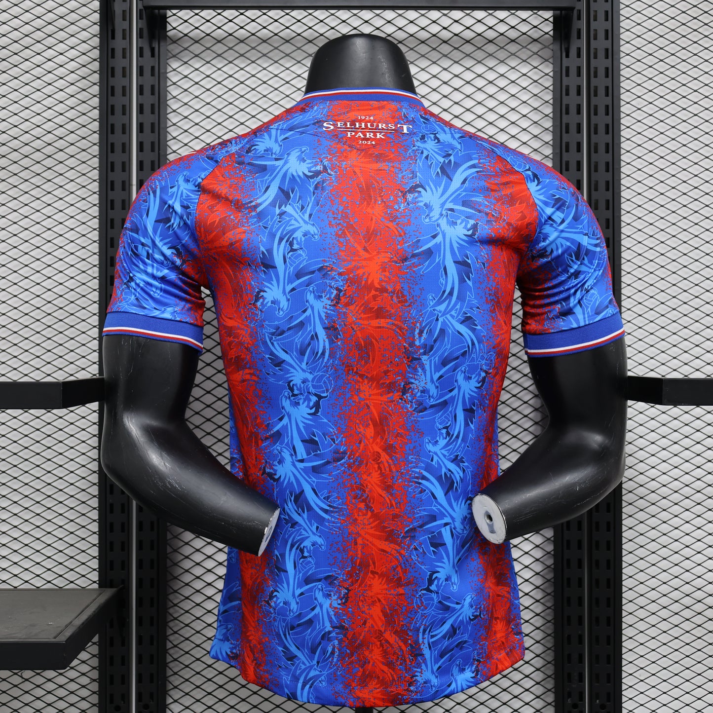 CRYSTAL PALACE 2024/25