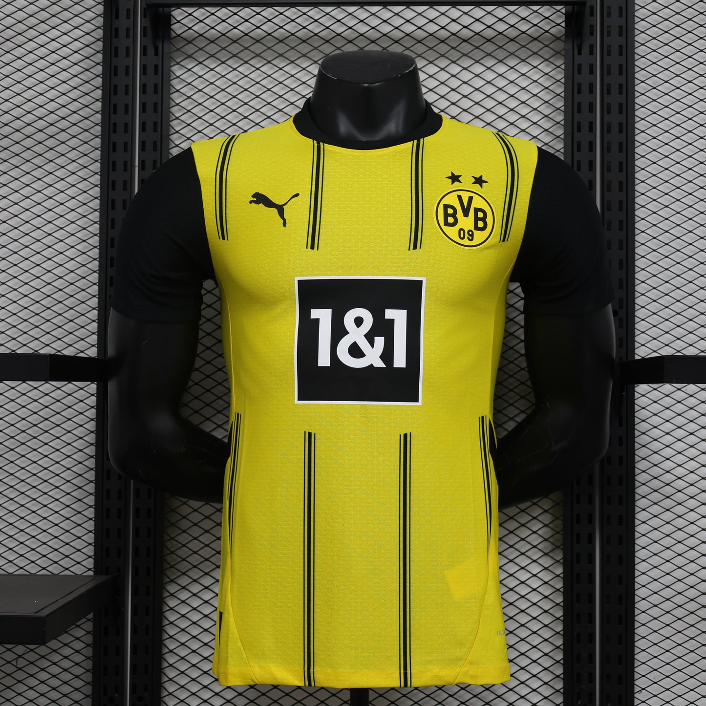 BROUSSIA DORTMUNS 2024/25