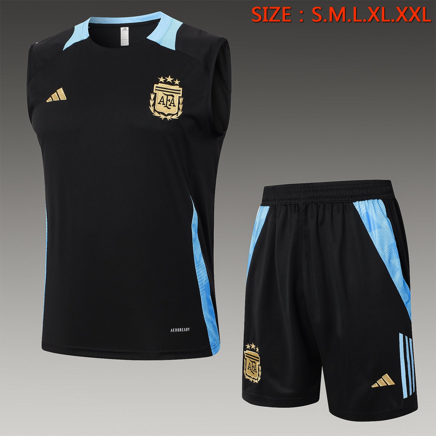 VEST ARGENTINA INTERNATIONAL