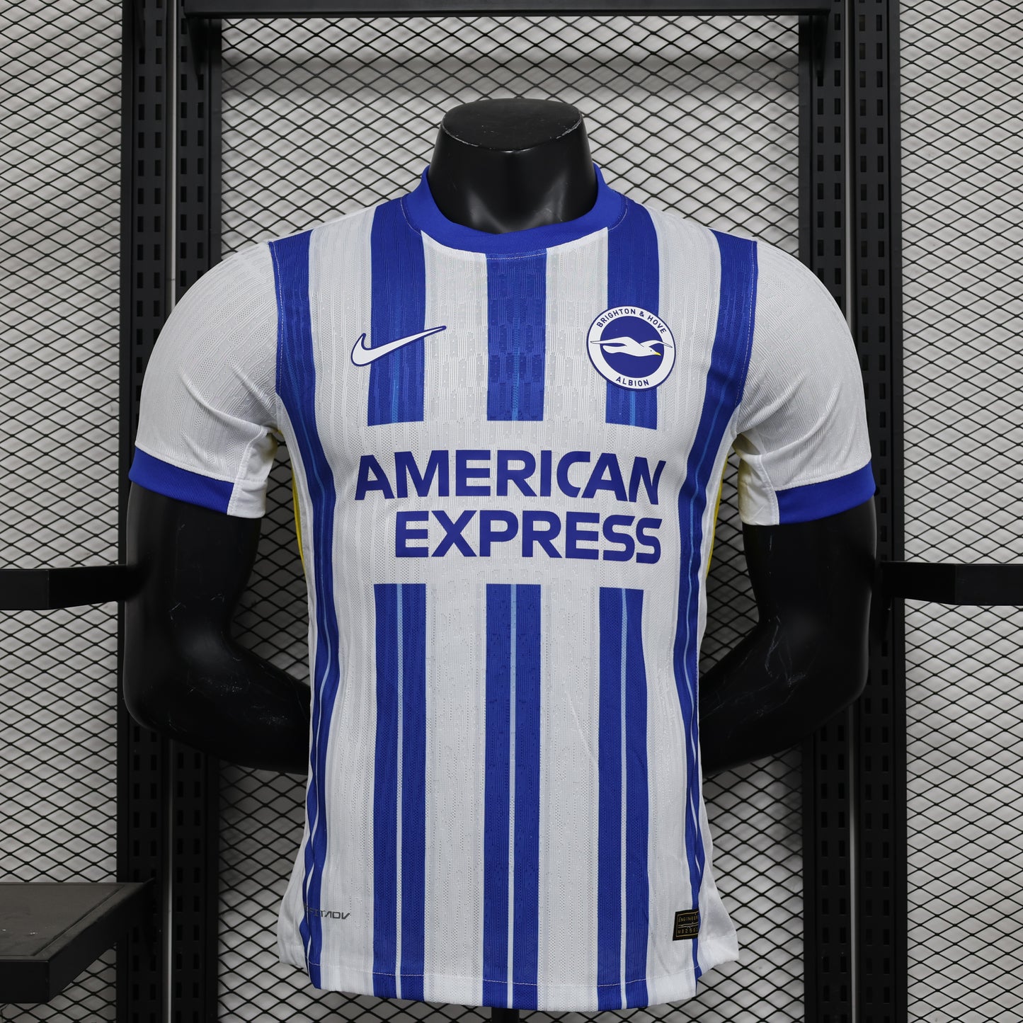BRIGHTON 2024/25