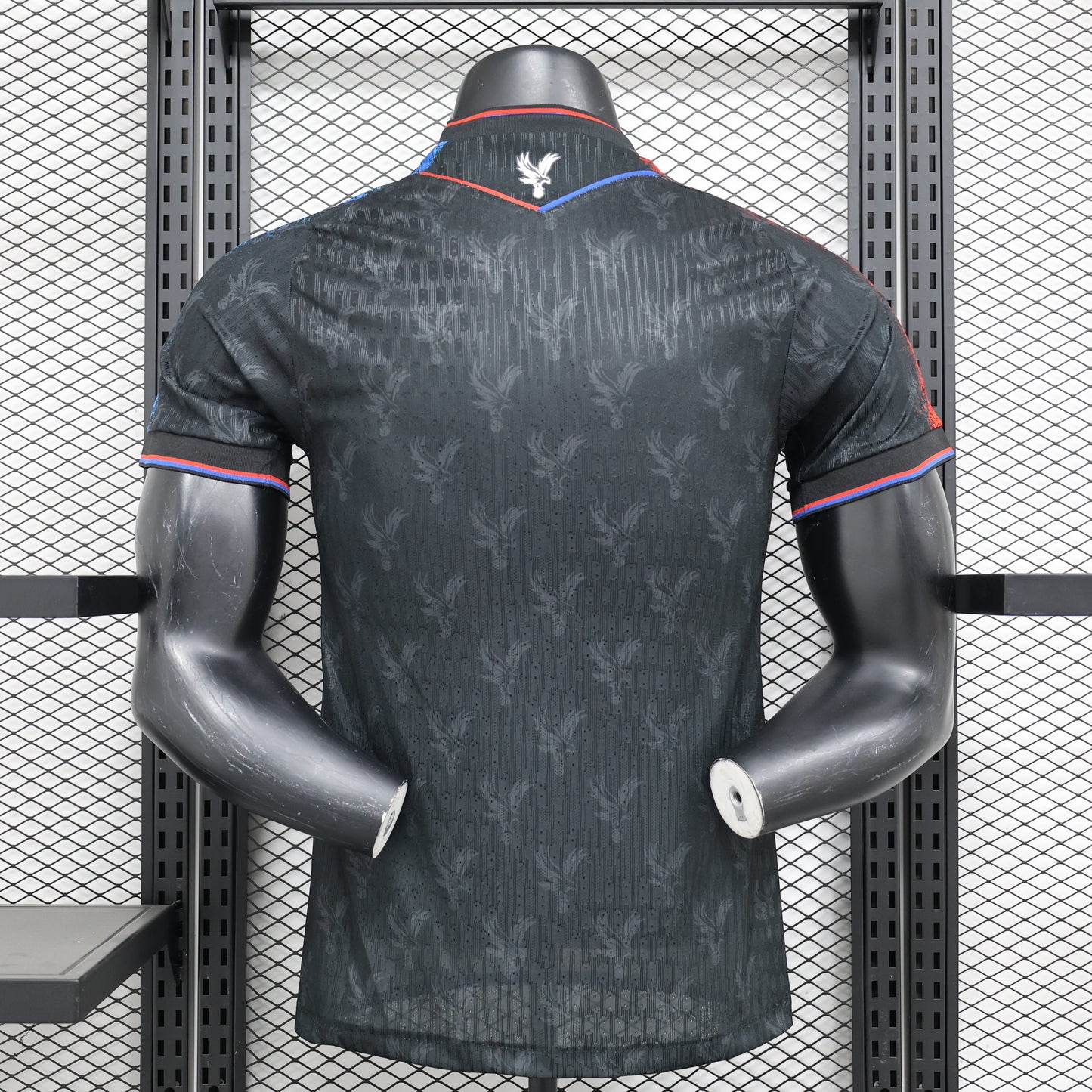 CRYSTAL PALACE 2024/25