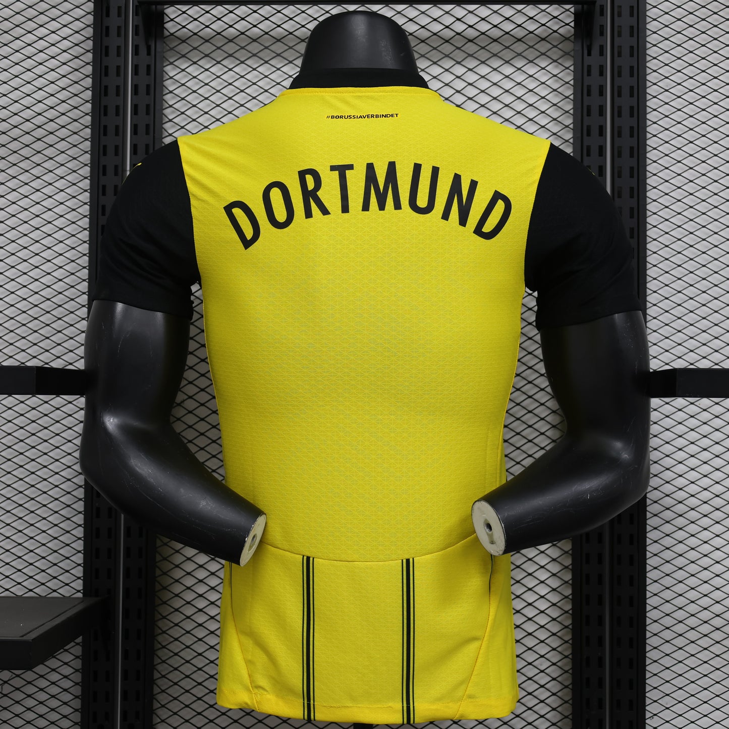 BROUSSIA DORTMUNS 2024/25